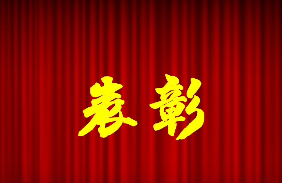 逐光前行、榮耀共鑒 | 公司2024年度表彰來啦！